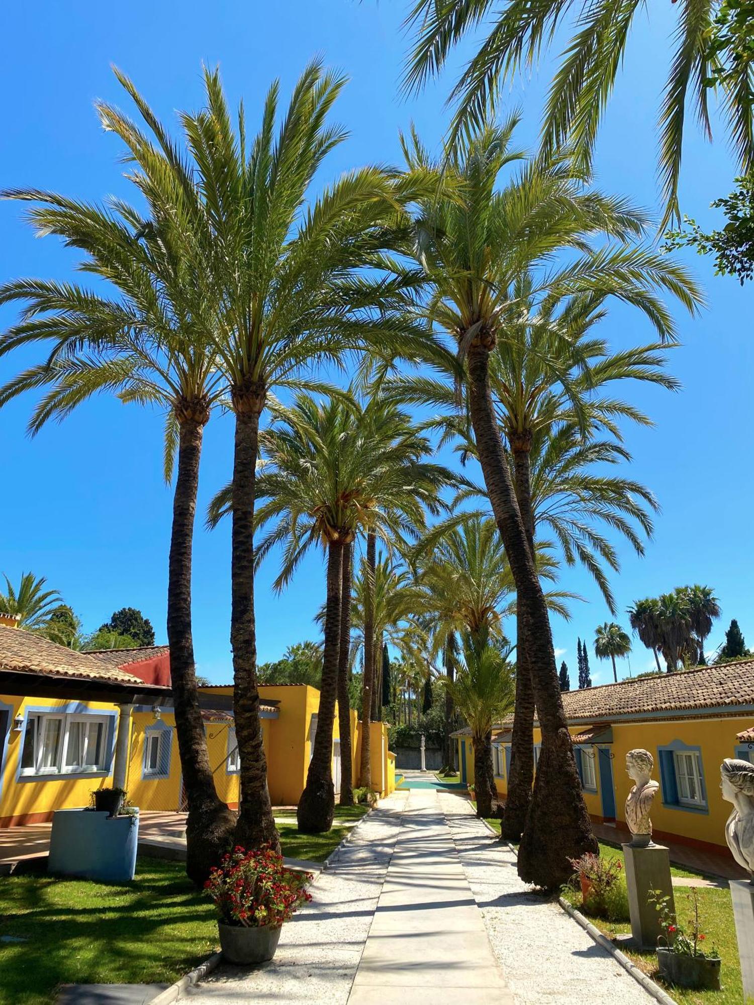 Cortijo La Saleta Banus Apartman Marbella Kültér fotó