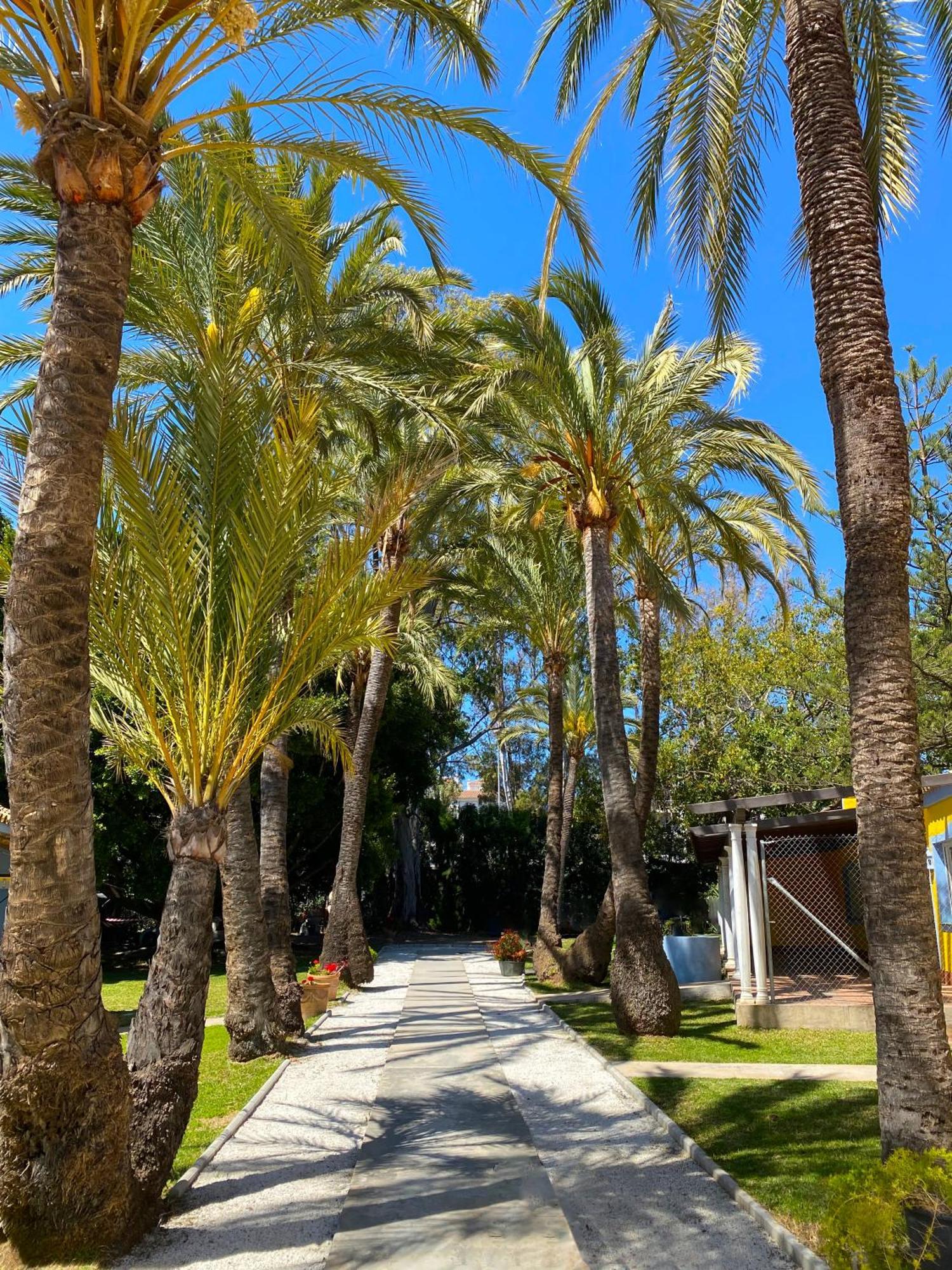 Cortijo La Saleta Banus Apartman Marbella Kültér fotó